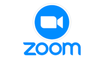 Zoom Logo